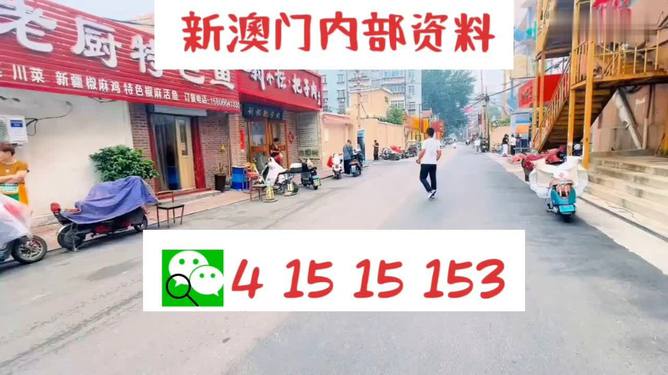 2025年新澳天天开好彩资料,详细解答、解释与落实