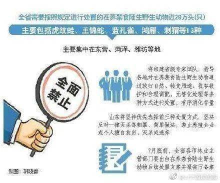新澳大全2025正版资料;警惕虚假宣传-系统管理执行