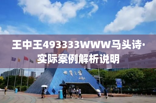 王中王493333WWW马头诗,详细解答、解释与落实